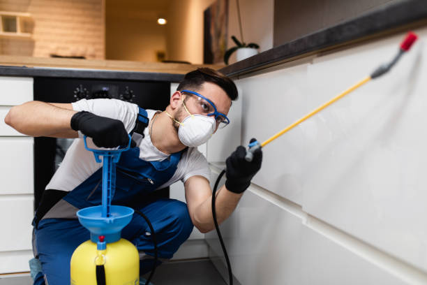 Best Rat Extermination Near Me  in Milledgeville, GA