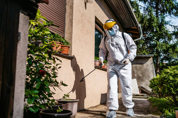 Insect Control in Milledgeville, GA