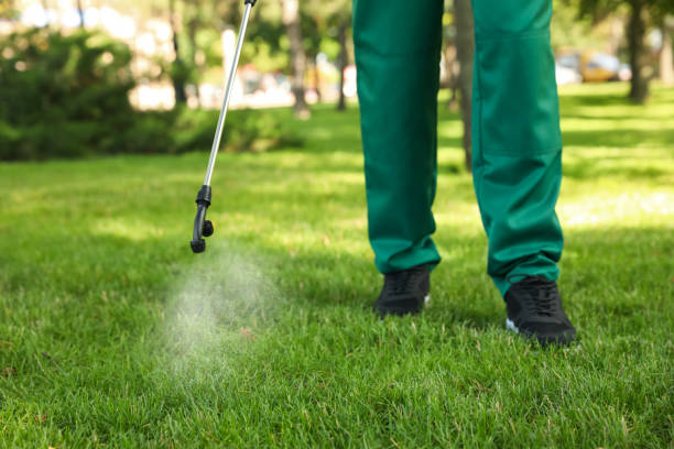 Insect Control in Milledgeville, GA