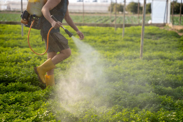 Best Pest Removal Services  in Milledgeville, GA