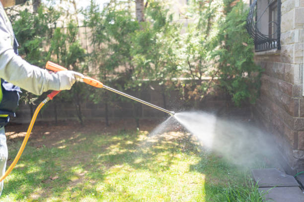 Best Wasp Removal Services  in Milledgeville, GA