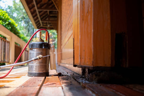 Best Rat Extermination Near Me  in Milledgeville, GA