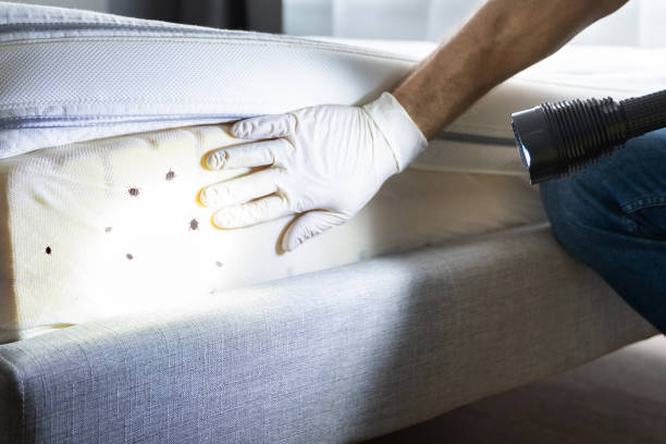 Best Insect Control  in Milledgeville, GA