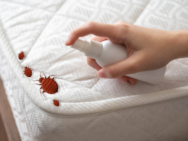 Best Emergency Pest Control  in Milledgeville, GA