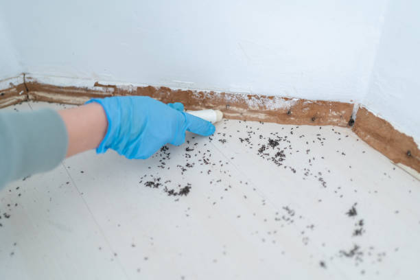 Best Mosquito Control Services  in Milledgeville, GA