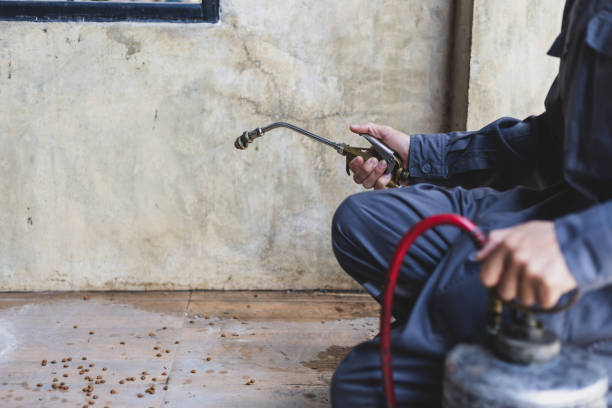 Best Termite Control Services  in Milledgeville, GA